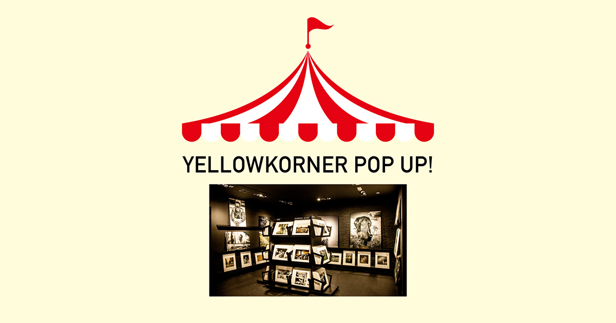 YK_POPUP_0831_1200X630.jpg