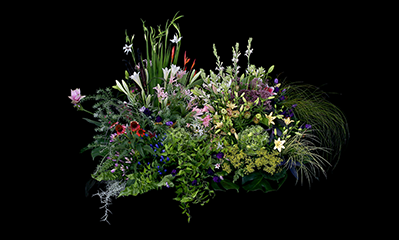 roomf「amana×ARART」- Graphic & AR -