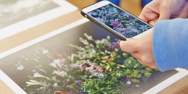 成功から、次のステップへ。 