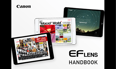 It's a Macro World (EF LENDS HANDBOOK) - Application -